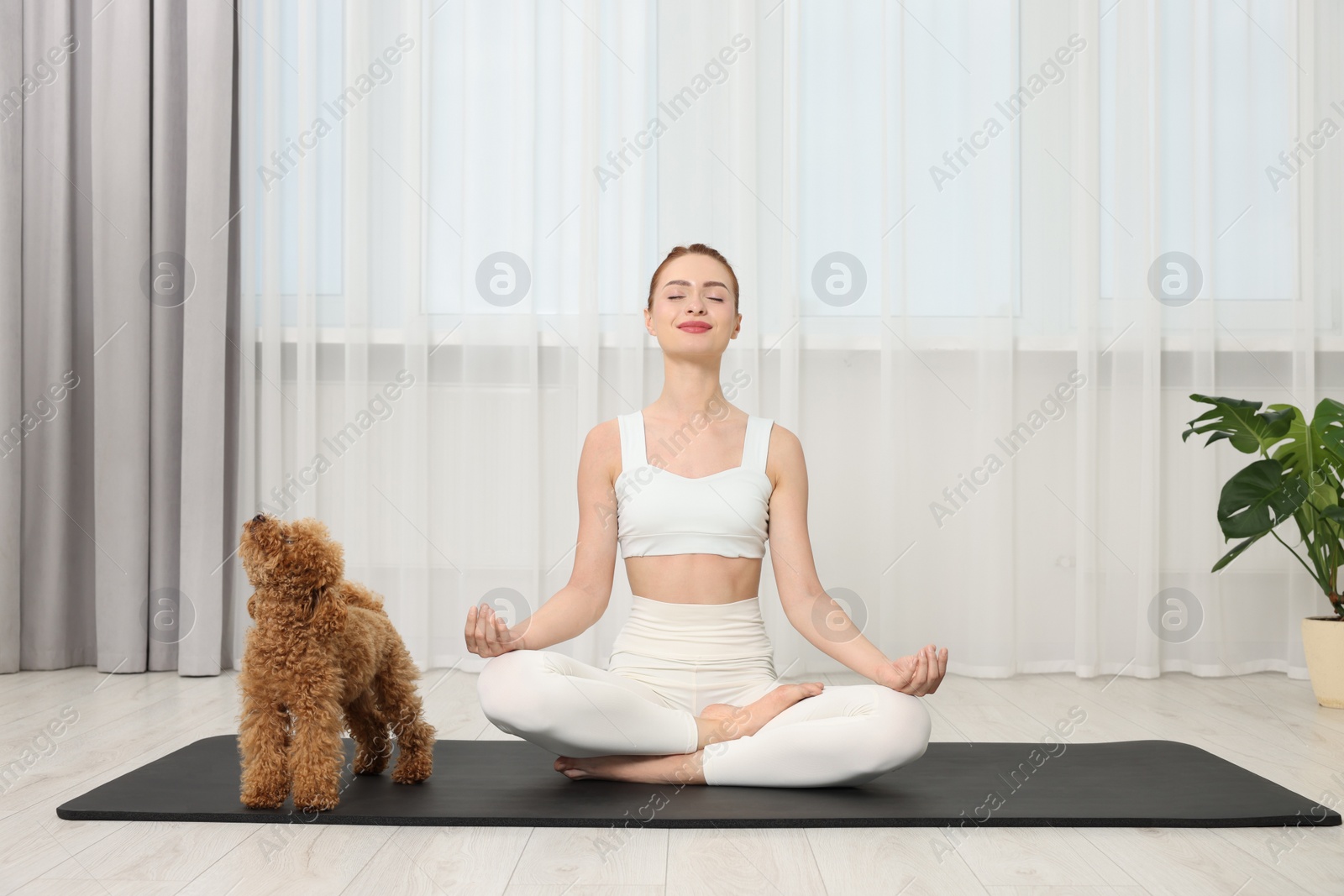 Photo of Young woman practicing yoga on mat with her cute dog indoors