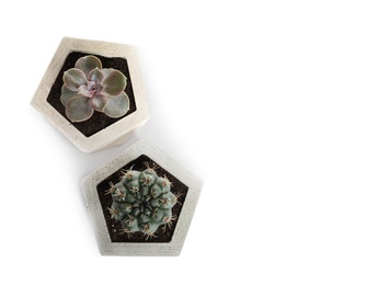 Beautiful succulent plants in stylish flowerpots on white background, top view. Home decor