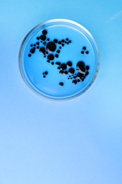 Petri dish with bacteria colony on light blue background, top view. Space for text