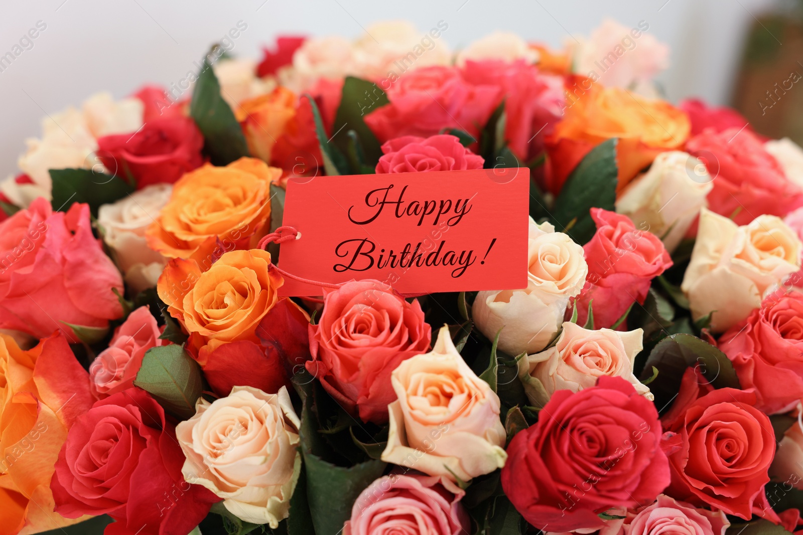 Image of Bouquet of beautiful roses with Happy Birthday card, closeup