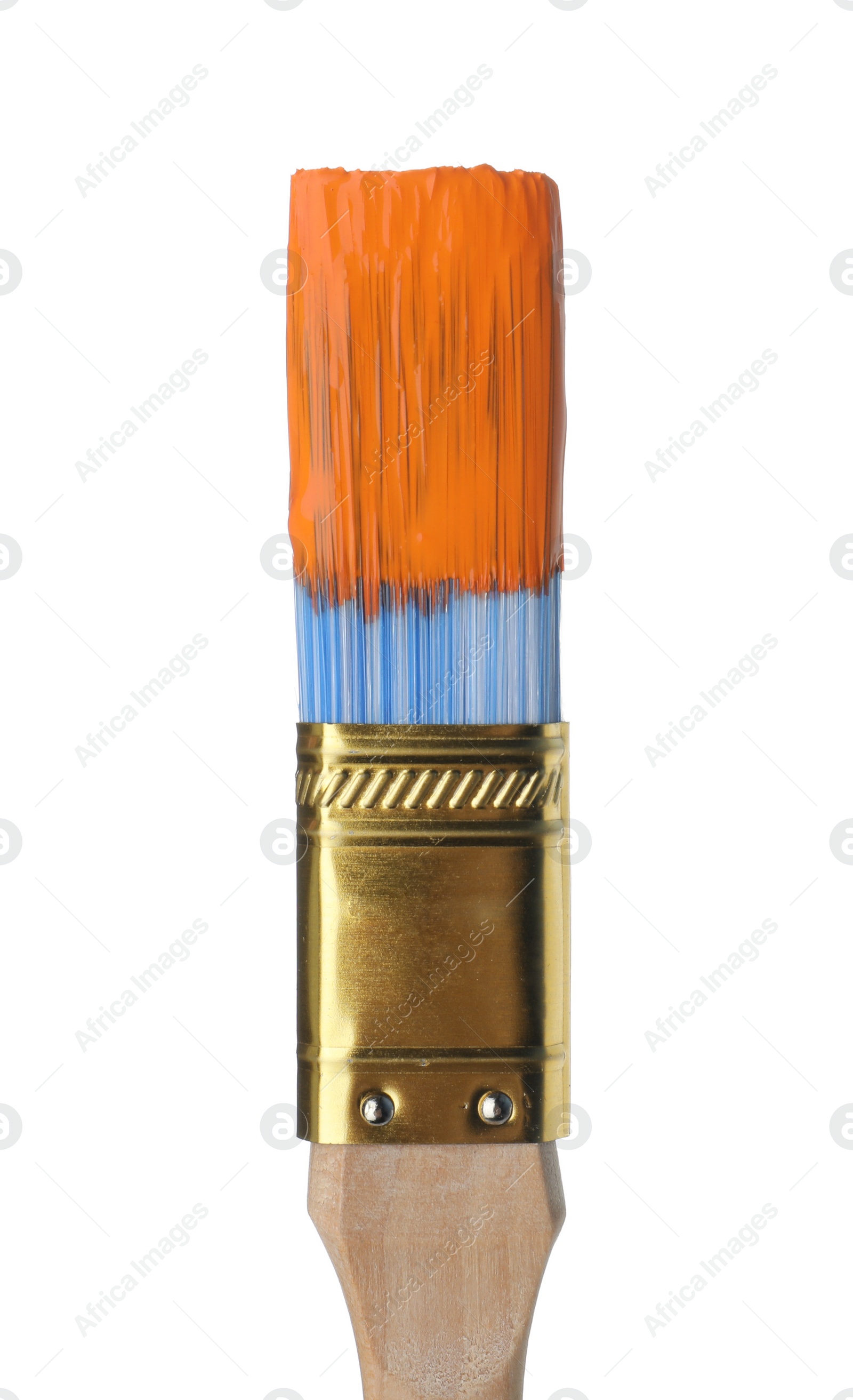 Photo of Brush with orange paint on white background, closeup