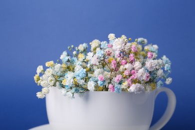 Photo of Beautiful gypsophila flowers in white cup on blue background, closeup