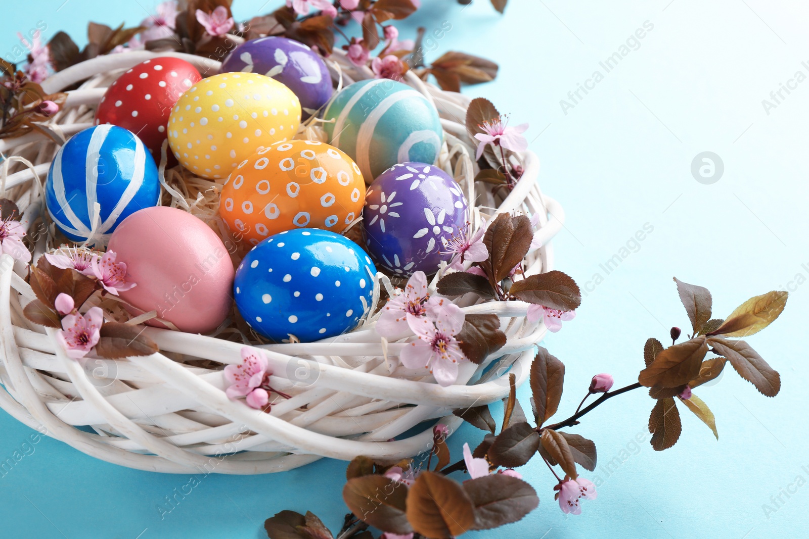 Photo of Painted Easter eggs in nest and blossoming branches on color background