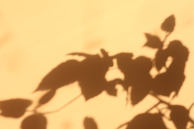 Shadow of plant leaves on beige background