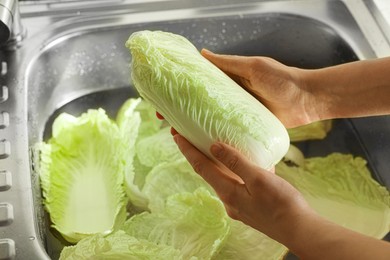 Photo of Woman washing fresh Chinese cabbages in sink, closeup