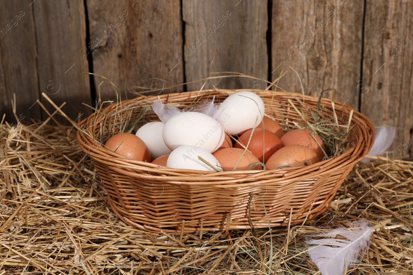 Photo of Fresh chicken eggs in wicker basket on dried straw near wooden wall