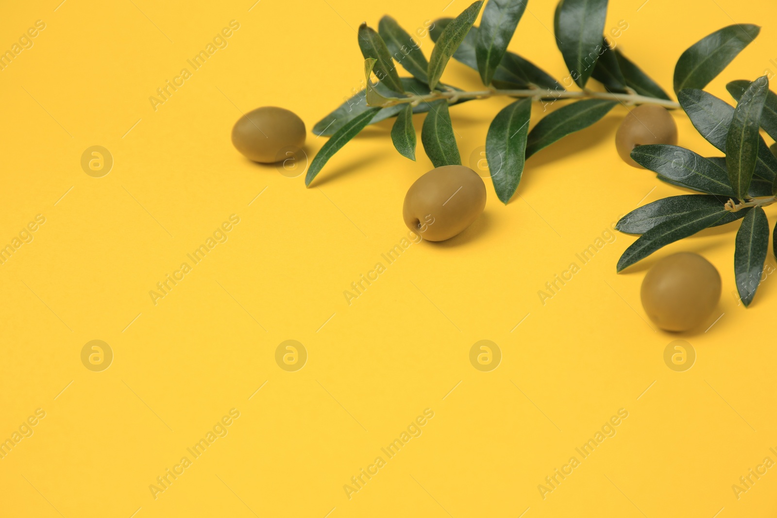 Photo of Fresh olives and green leaves on yellow background, closeup. Space for text