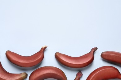 Photo of Tasty red baby bananas on light blue background, flat lay. Space for text