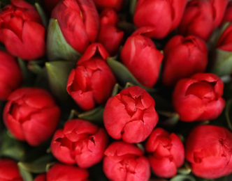 Photo of Beautiful bouquet of tulip flowers, closeup. Floral decor