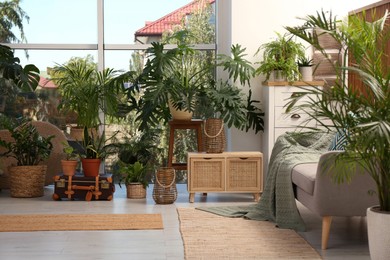 Photo of Stylish living room with beautiful plants. Interior design