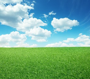 Image of Green grass under blue sky with clouds