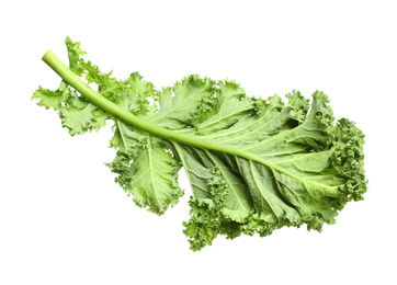 Fresh green kale leaf isolated on white