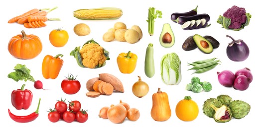 Collection of different fresh vegetables on white background. Banner design