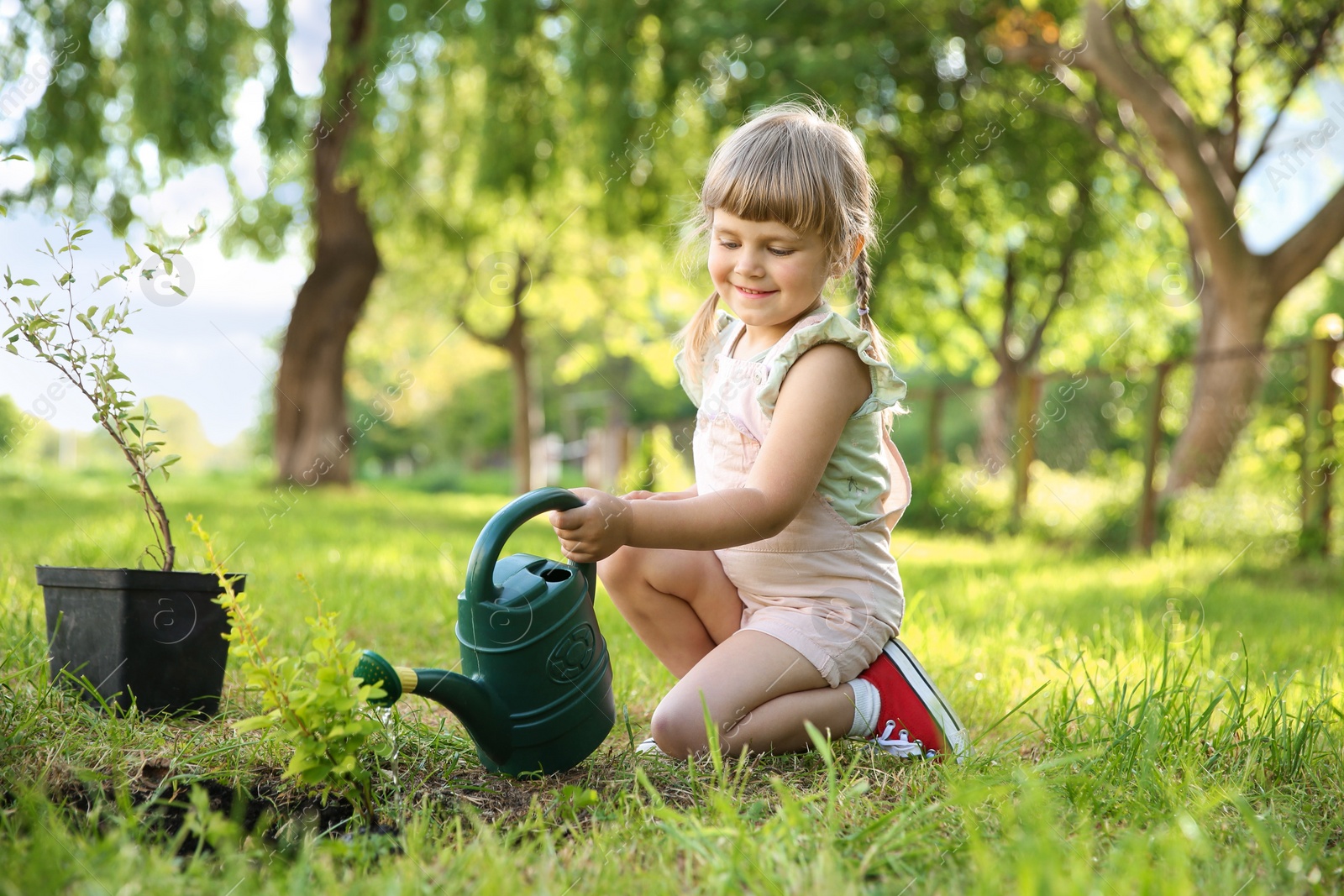 Photo of Cute little girl watering tree in garden