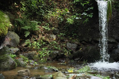 Photo of Picturesque view of mountain waterfall, stones and green plants