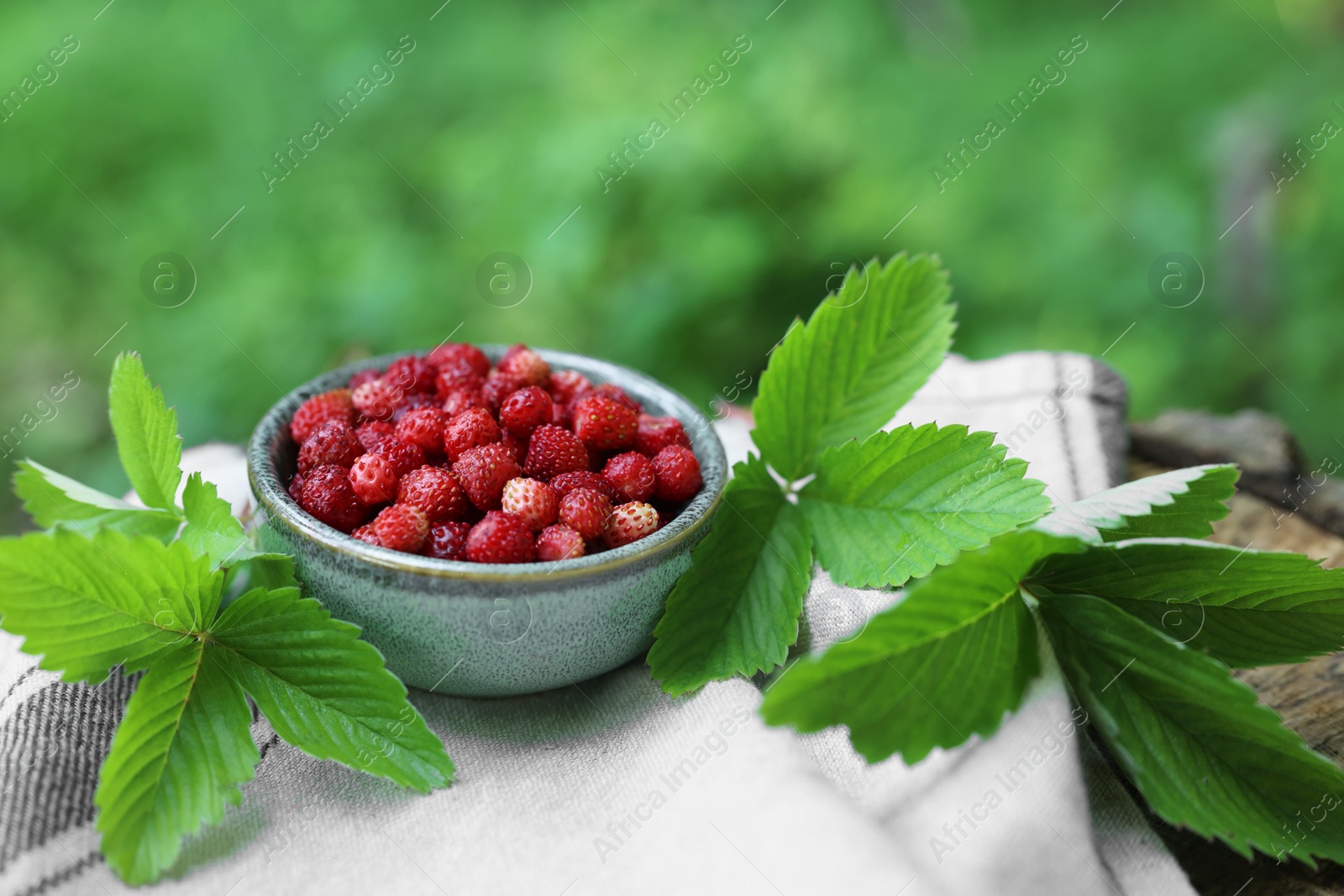 Photo of Bowl of tasty wild strawberries and green leaves on cloth against blurred background