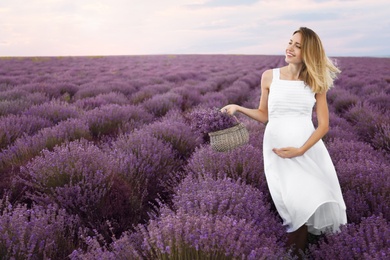 Photo of Pregnant woman in lavender field on summer day