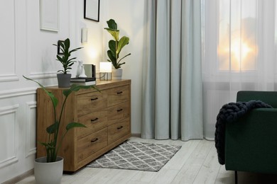 Stylish room interior with chest of drawers, sofa, decor elements and houseplants