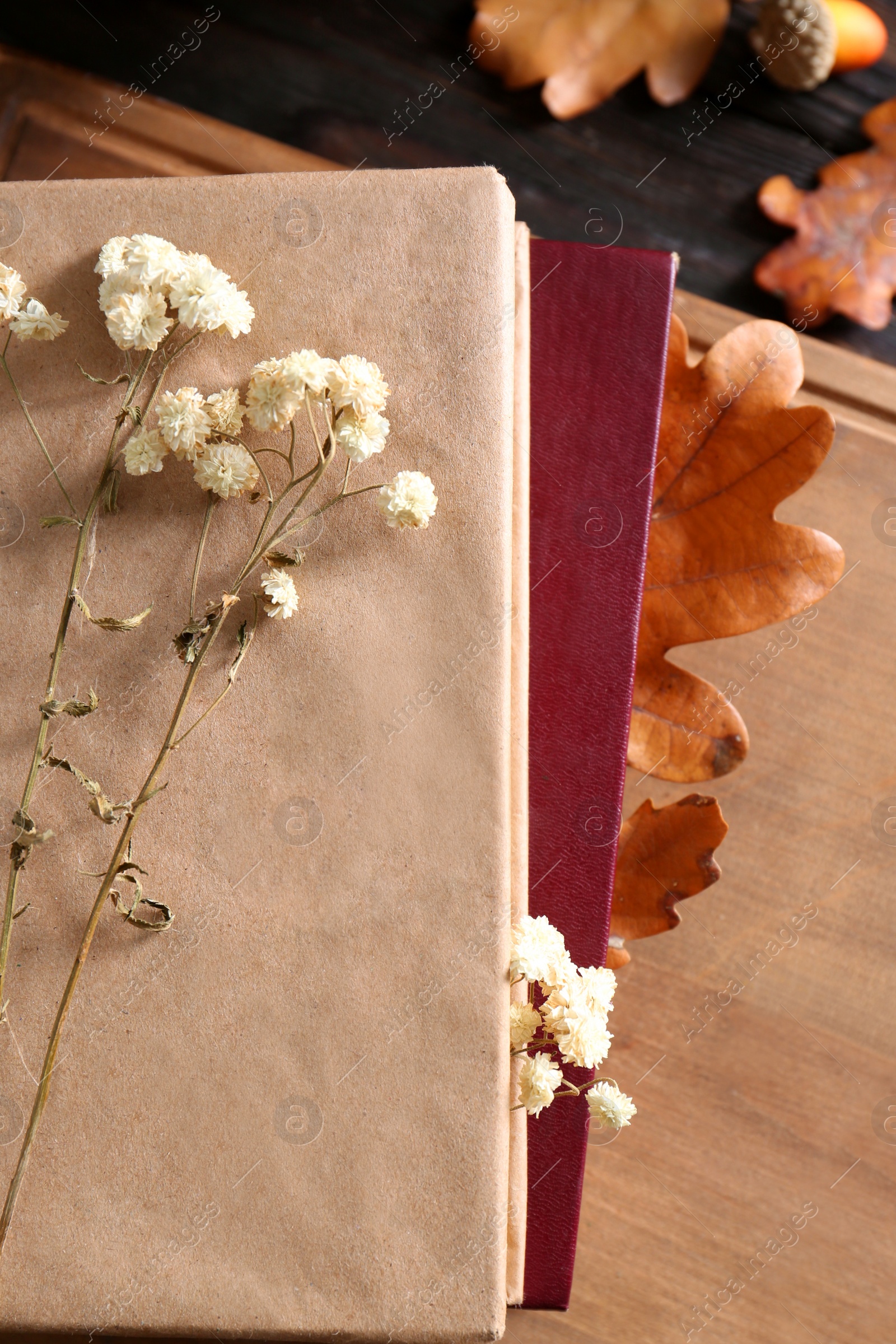 Photo of Stack of book with autumn leaves and flowers as bookmarks on wooden table, flat lay