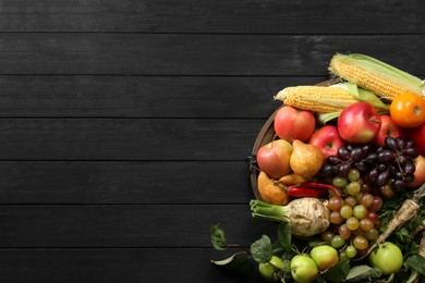 Different fresh vegetables and fruits on black wooden table, top view with space for text. Farmer harvesting