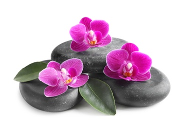 Photo of Pile of spa stones and orchid flowers on white background