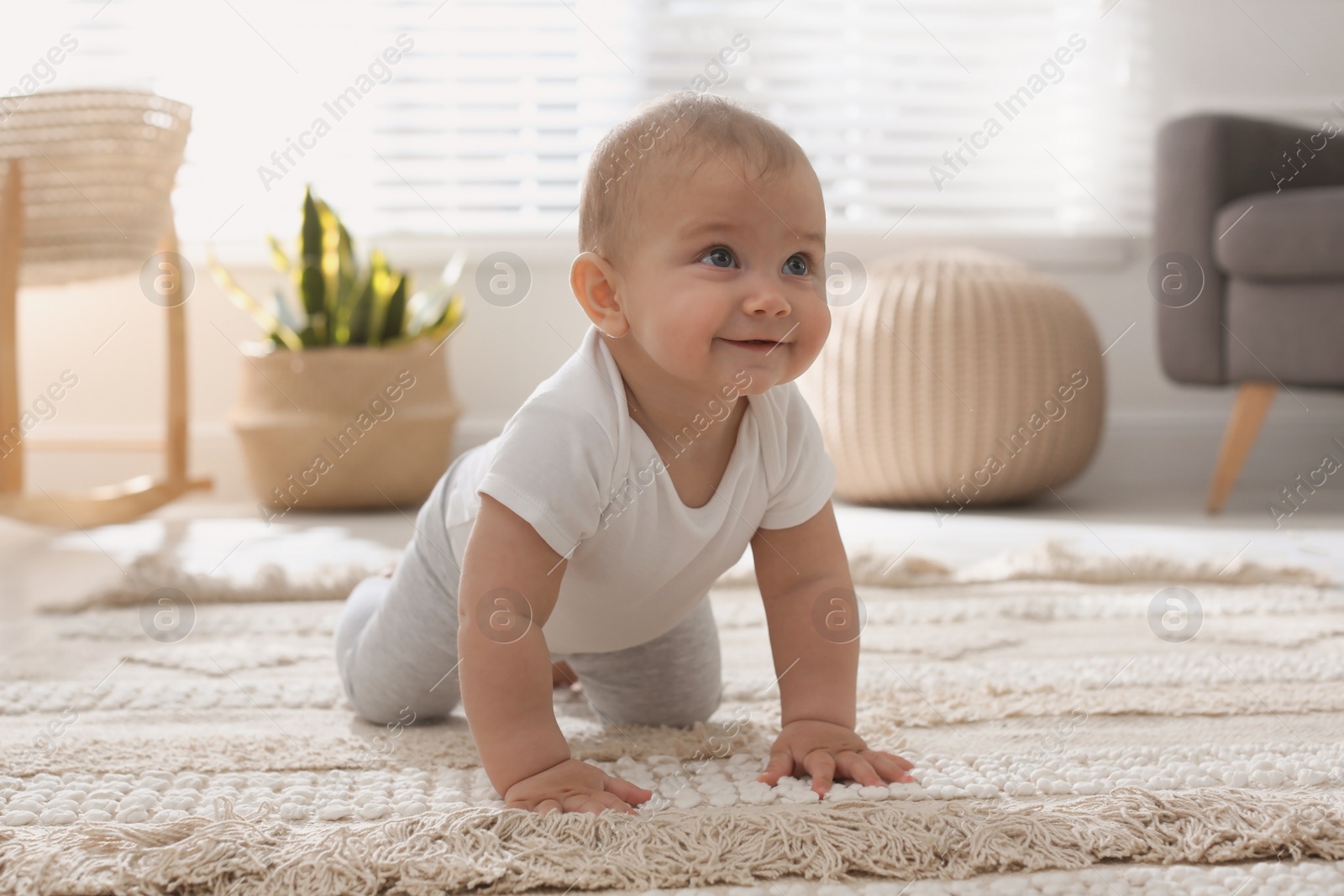 Photo of Cute baby crawling on floor at home