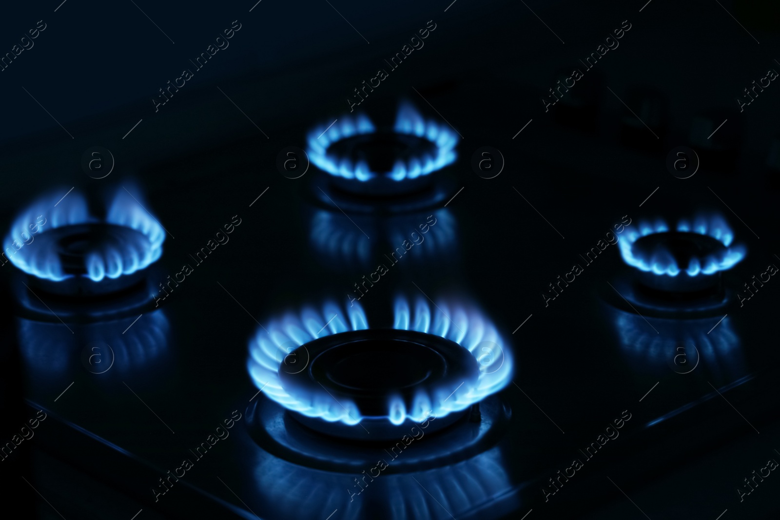 Photo of Gas cooktop with burning blue flames in darkness