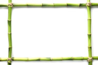 Photo of Flat lay composition with green bamboo stems on white background