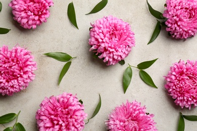 Photo of Beautiful asters on grey background, flat lay. Autumn flowers