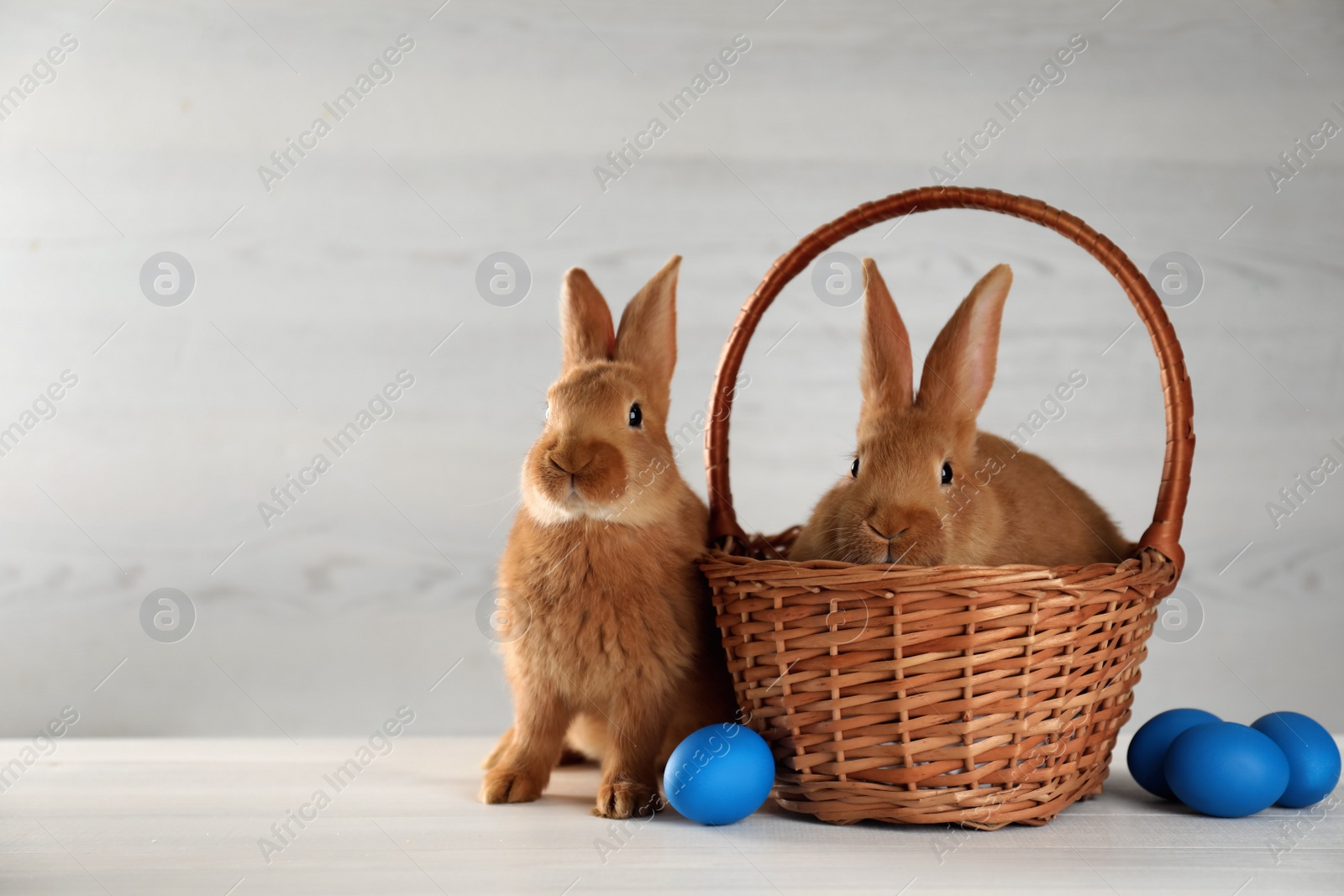 Photo of Cute bunnies, basket and Easter eggs on white table. Space for text