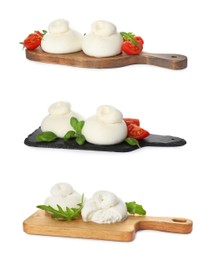 Image of Set with fresh delicious burrata cheese on white background