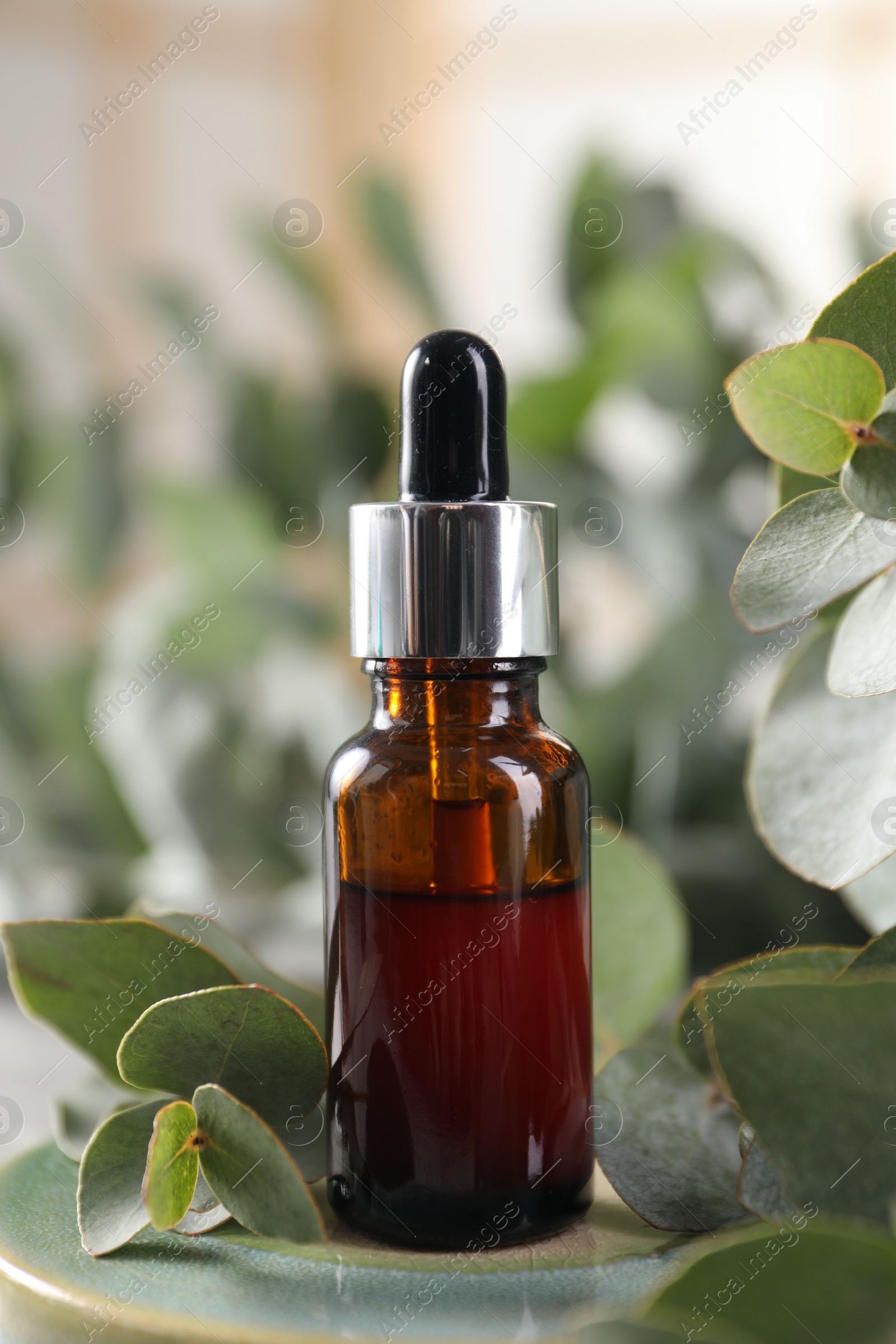 Photo of Aromatherapy. Bottle of essential oil and eucalyptus leaves on table