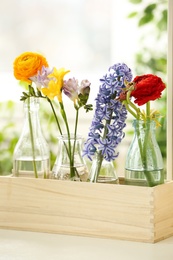 Beautiful spring flowers in wooden crate on window sill