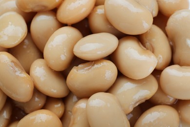 Photo of Canned white kidney beans as background, top view