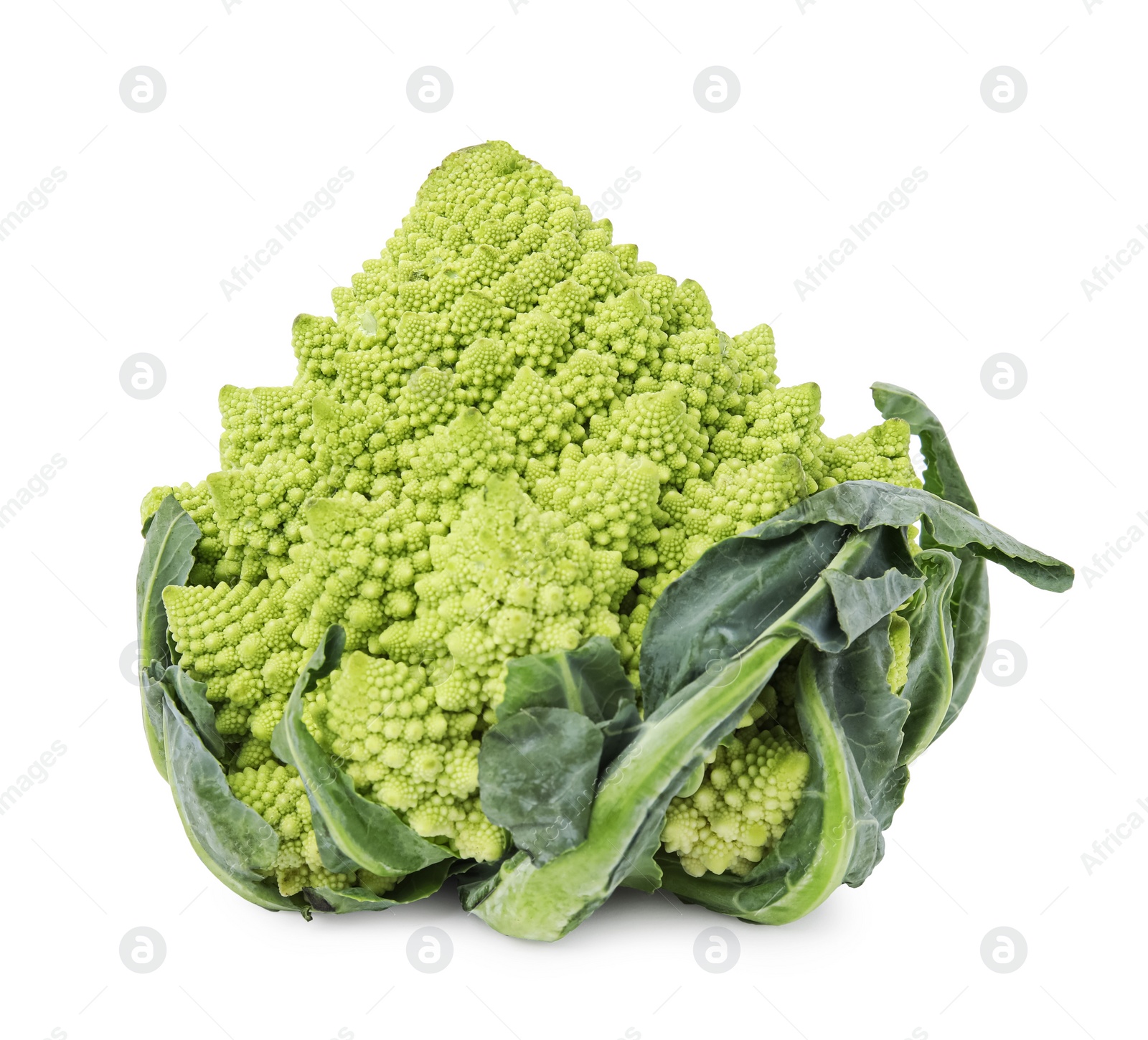 Photo of Fresh raw Romanesco broccoli isolated on white