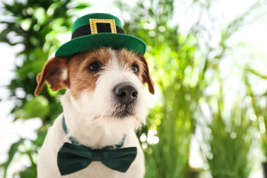 Photo of Jack Russell terrier with leprechaun hat and bow tie outdoors, space for text. St. Patrick's Day