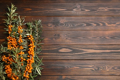 Photo of Branches of sea buckthorn on wooden table, flat lay. Space for text