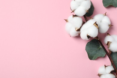 Photo of Cotton branch with fluffy flowers and eucalyptus leaves on pink background, top view. Space for text