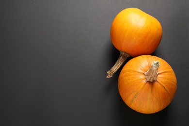 Photo of Fresh ripe pumpkins on black background, flat lay with space for text. Holiday decoration