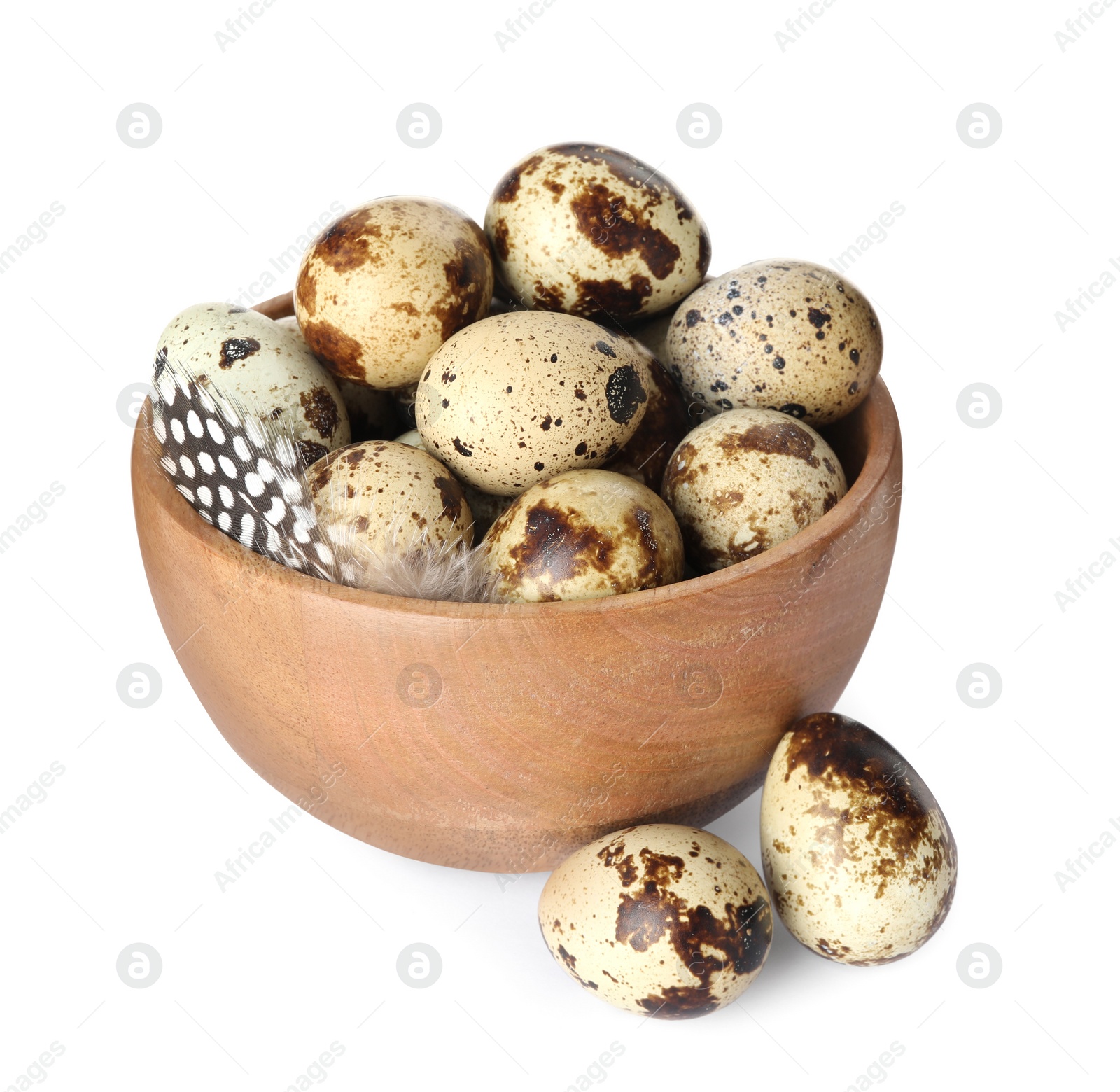 Photo of Bowl with speckled quail eggs and feathers isolated on white