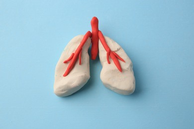 Human lungs made of plasticine on light blue background, closeup