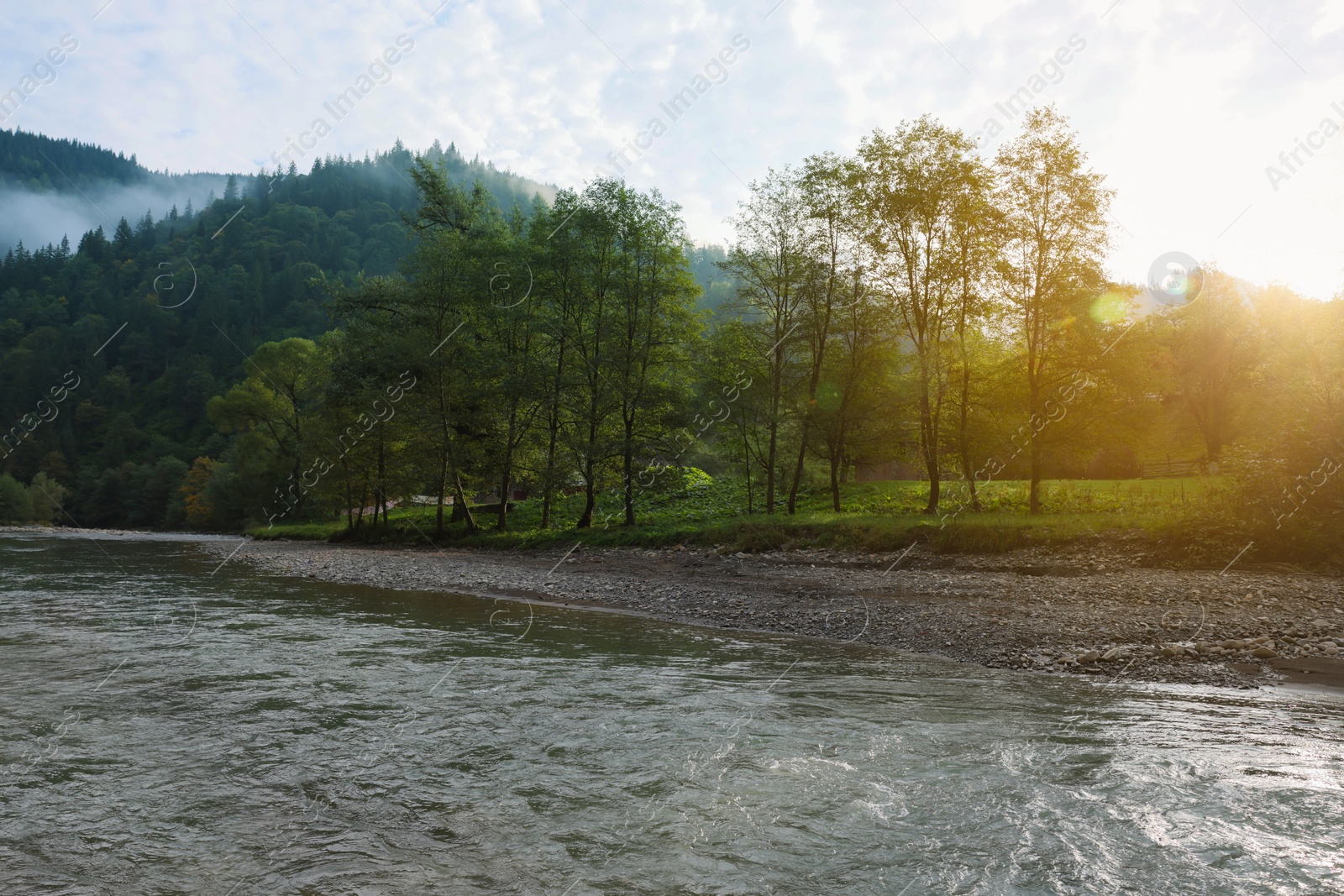 Photo of Picturesque view of beautiful river flowing near forest in morning