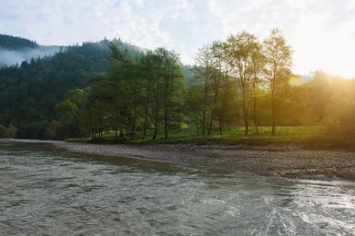 Photo of Picturesque view of beautiful river flowing near forest in morning