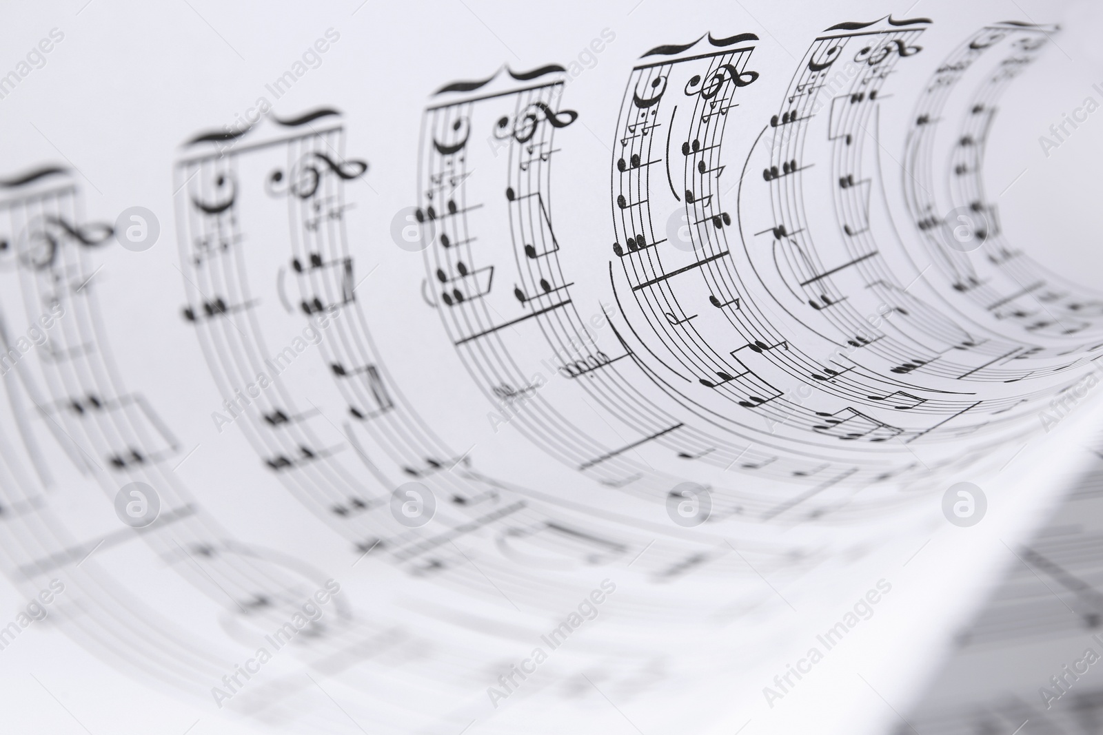 Photo of Rolled sheet with music notes, closeup view