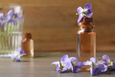 Photo of Beautiful wild violets and essential oil on wooden table, space for text. Spring flowers