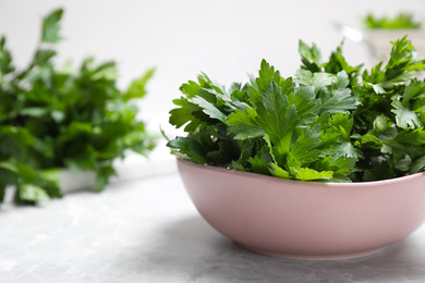 Fresh green parsley in bowl on white table, space for text