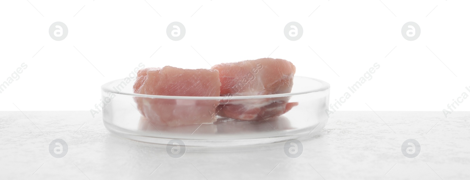 Photo of Petri dish with pieces of raw cultured meat on table against white background