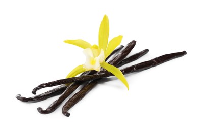 Photo of Vanilla pods and beautiful flower isolated on white