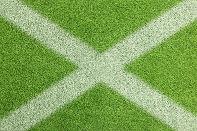 Image of Green grass with white markings, top view