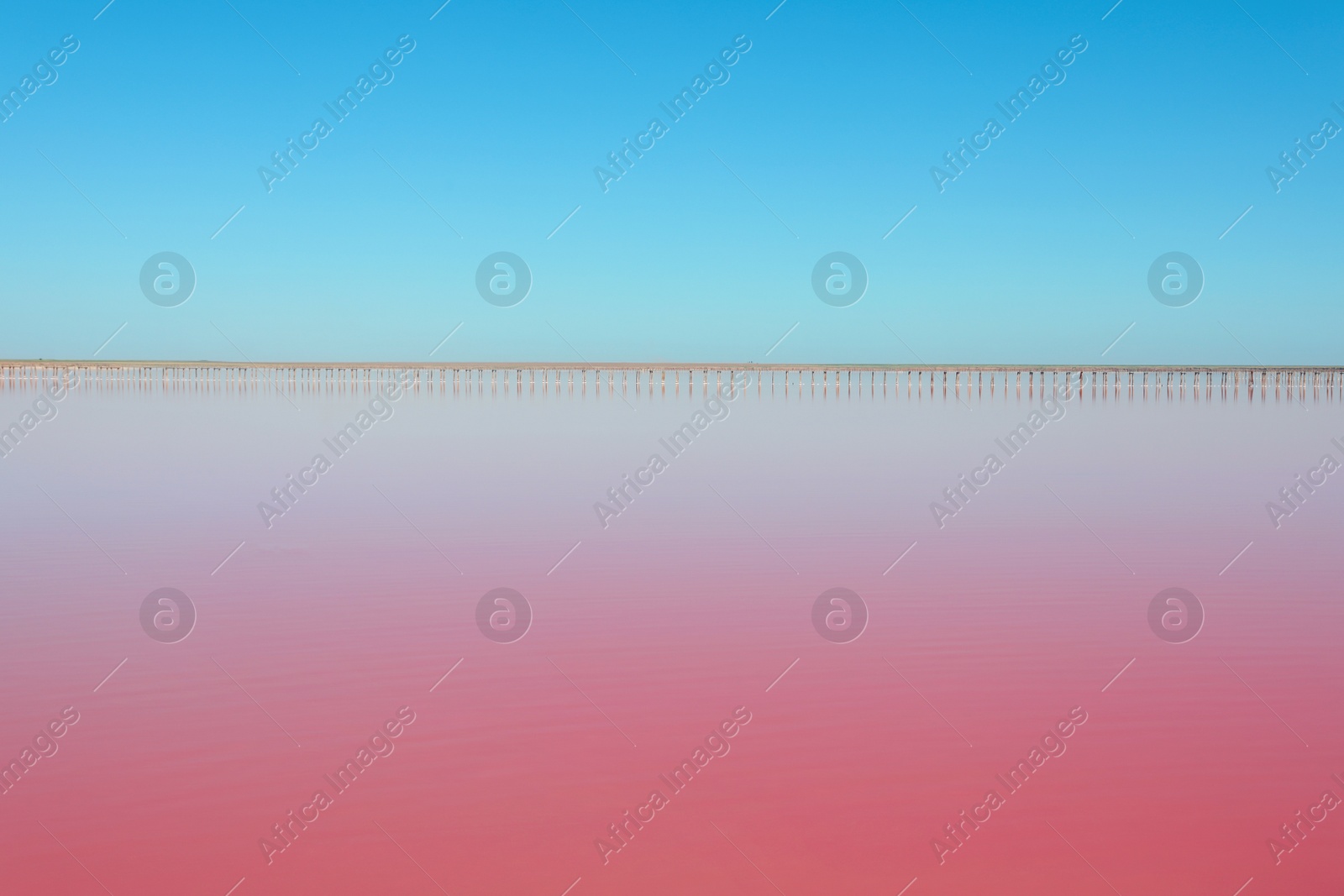 Photo of Beautiful view of pink lake on summer day